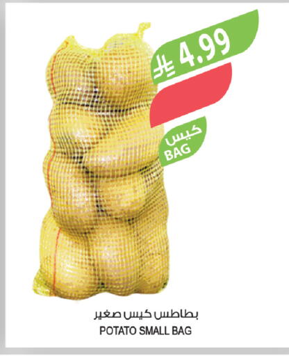 Potato available at المزرعة in مملكة العربية السعودية, السعودية, سعودية - تبوك