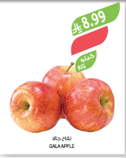 Apple available at المزرعة in مملكة العربية السعودية, السعودية, سعودية - تبوك