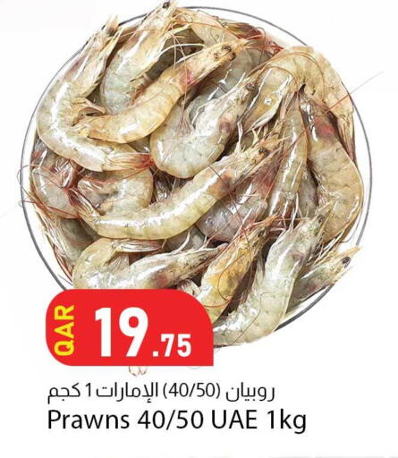 available at دانا ماركت in قطر - أم صلال