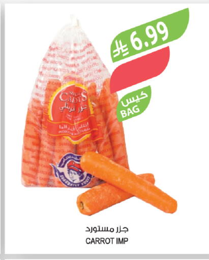 Carrot available at المزرعة in مملكة العربية السعودية, السعودية, سعودية - تبوك