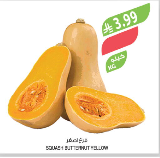 Squash available at المزرعة in مملكة العربية السعودية, السعودية, سعودية - تبوك