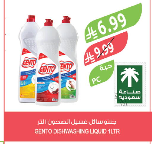 available at المزرعة in مملكة العربية السعودية, السعودية, سعودية - تبوك