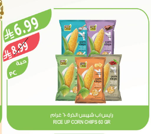 Tomato available at Farm  in KSA, Saudi Arabia, Saudi - Riyadh