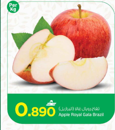 Apple from Brazil available at MARK & SAVE in Oman - Muscat