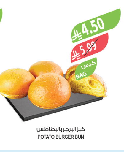 Potato available at Farm  in KSA, Saudi Arabia, Saudi - Al-Kharj