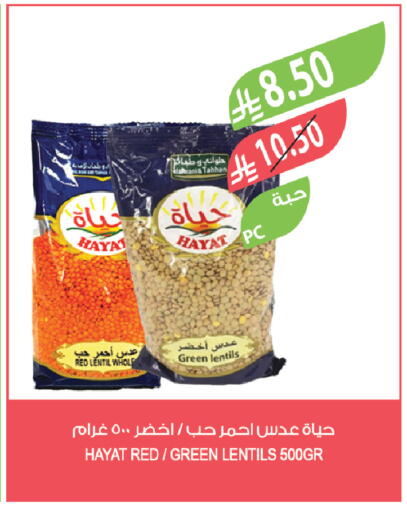 available at المزرعة in مملكة العربية السعودية, السعودية, سعودية - تبوك