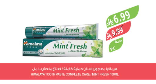 Mint available at المزرعة in مملكة العربية السعودية, السعودية, سعودية - تبوك