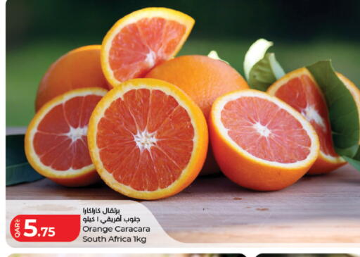 Orange from South Africa available at لولو هايبرماركت in قطر - الخور