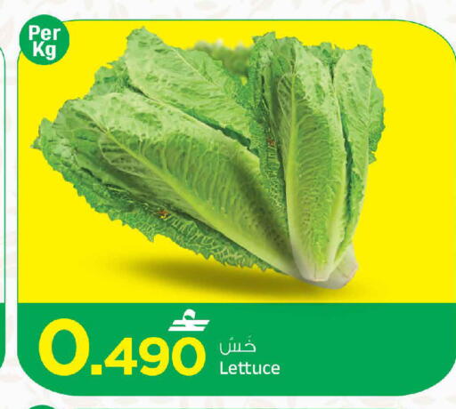 Lettuce available at مارك & سايف in عُمان - مسقط‎