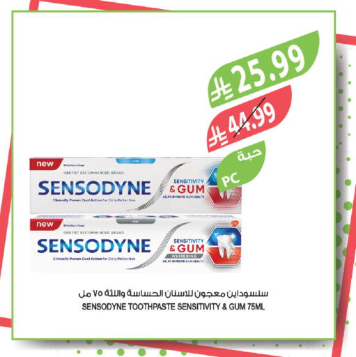 Mint available at المزرعة in مملكة العربية السعودية, السعودية, سعودية - تبوك