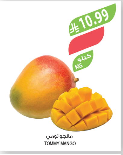 Mango available at المزرعة in مملكة العربية السعودية, السعودية, سعودية - الرياض
