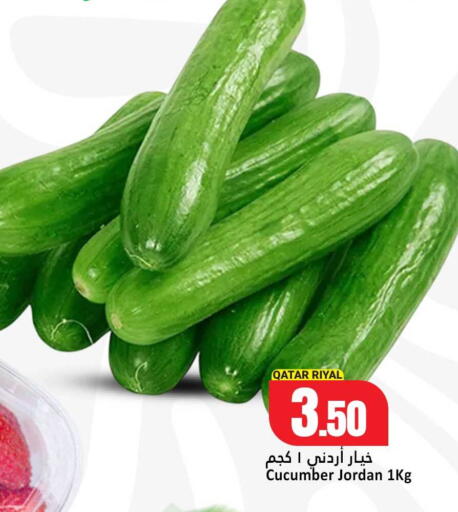 Cucumber from Qatar Jordan available at دانة هايبرماركت in قطر - الضعاين