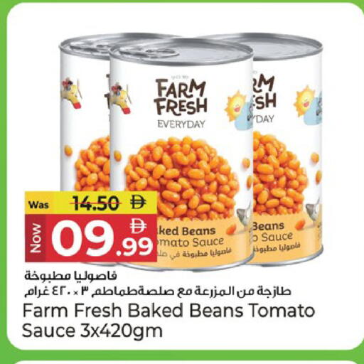 Tomato available at كنز هايبرماركت in الإمارات العربية المتحدة , الامارات - الشارقة / عجمان