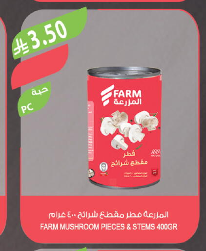 Mushroom available at Farm  in KSA, Saudi Arabia, Saudi - Riyadh