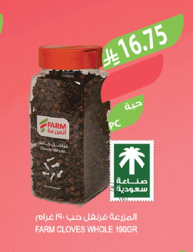 Cloves available at Farm  in KSA, Saudi Arabia, Saudi - Al-Kharj