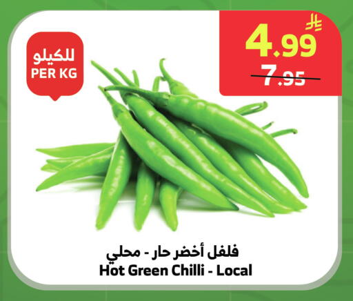 Green chilli available at الراية in مملكة العربية السعودية, السعودية, سعودية - خميس مشيط