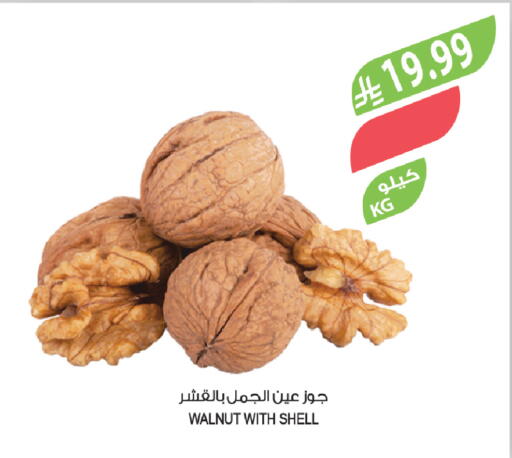 available at المزرعة in مملكة العربية السعودية, السعودية, سعودية - الخبر‎