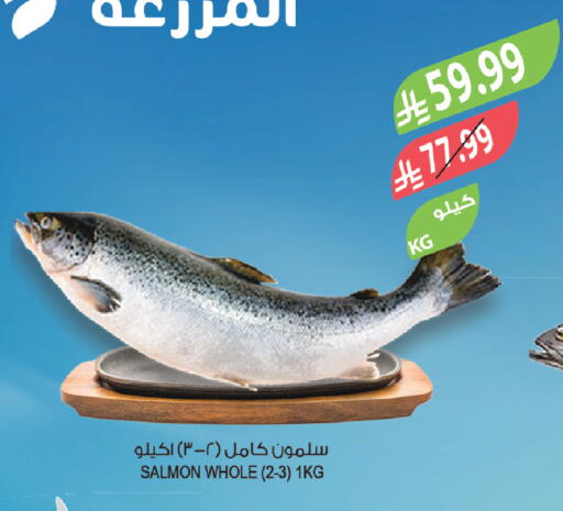 available at المزرعة in مملكة العربية السعودية, السعودية, سعودية - الرياض