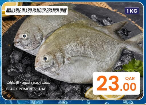 available at البلدي اليوم in قطر - الخور