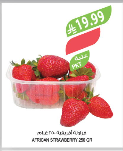 Strawberry available at المزرعة in مملكة العربية السعودية, السعودية, سعودية - الرياض