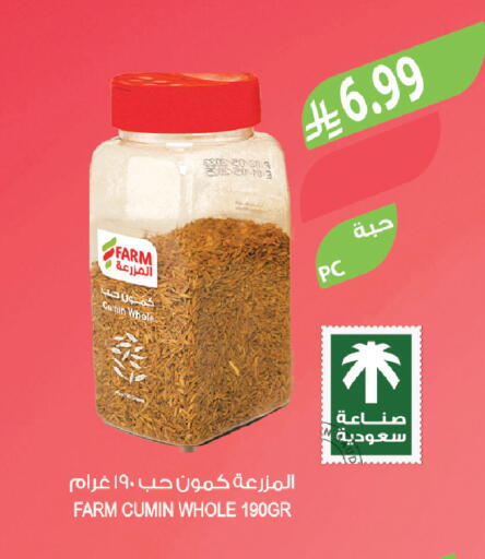 Cumin available at Farm  in KSA, Saudi Arabia, Saudi - Al-Kharj