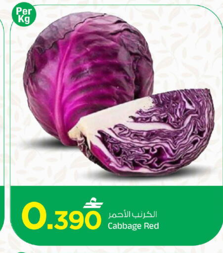 Cabbage available at مارك & سايف in عُمان - مسقط‎