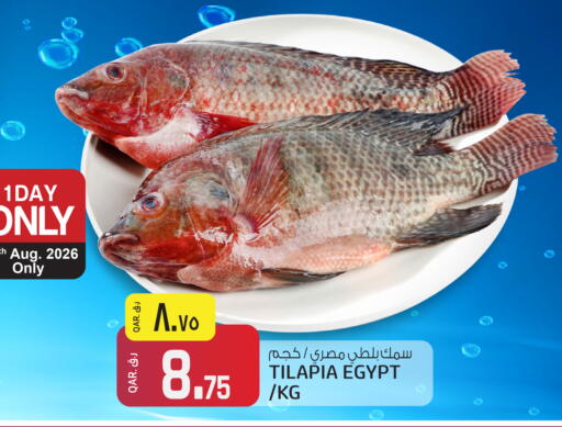 available at السعودية in قطر - الدوحة