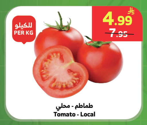 Tomato available at Al Raya in KSA, Saudi Arabia, Saudi - Tabuk