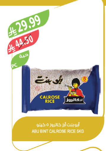 available at Farm  in KSA, Saudi Arabia, Saudi - Riyadh