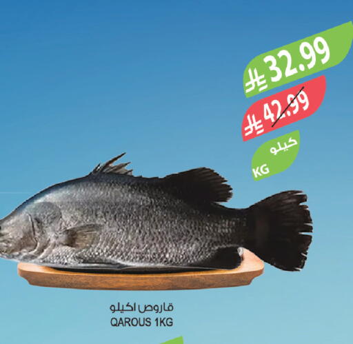 available at Farm  in KSA, Saudi Arabia, Saudi - Riyadh