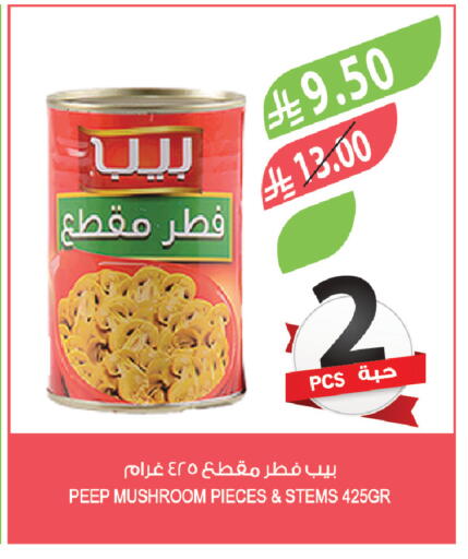 Mushroom available at Farm  in KSA, Saudi Arabia, Saudi - Riyadh