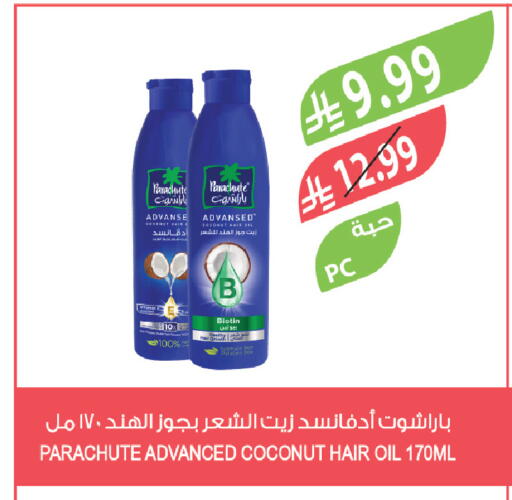 Coconut available at Farm  in KSA, Saudi Arabia, Saudi - Riyadh
