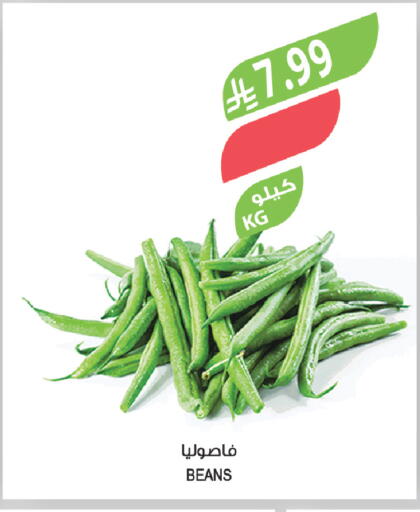 available at المزرعة in مملكة العربية السعودية, السعودية, سعودية - تبوك
