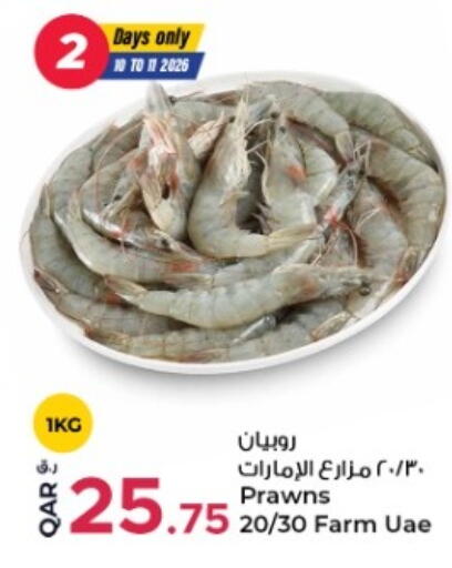 available at روابي هايبرماركت in قطر - الضعاين