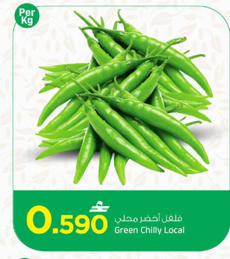 available at مارك & سايف in عُمان - مسقط‎