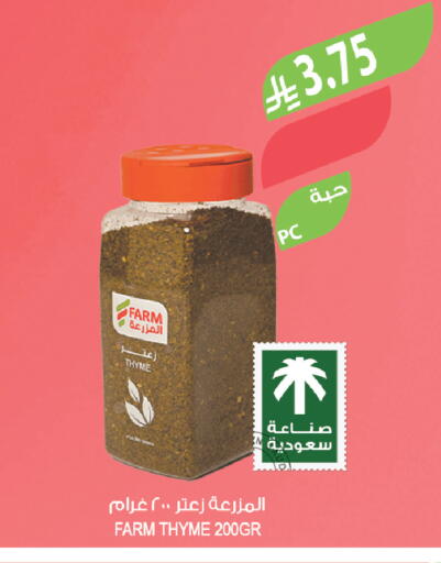 Thyme available at Farm  in KSA, Saudi Arabia, Saudi - Sakaka