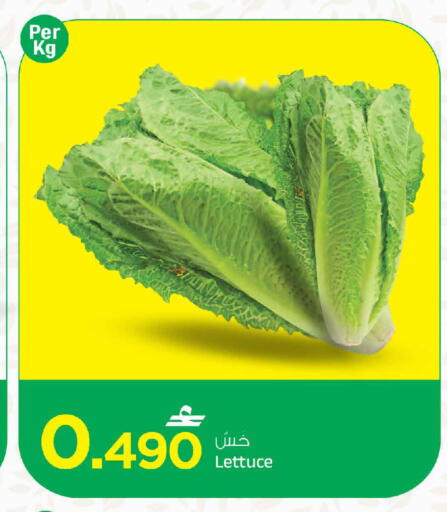 Lettuce available at مارك & سايف in عُمان - مسقط‎