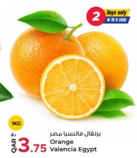 Orange from Egypt available at روابي هايبرماركت in قطر - الضعاين