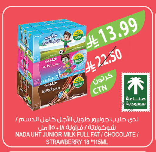 Strawberry available at Farm  in KSA, Saudi Arabia, Saudi - Riyadh
