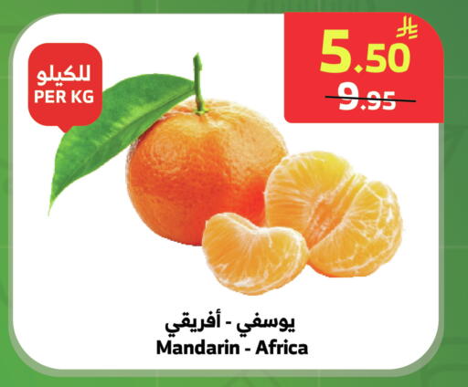 Mandarin available at الراية in مملكة العربية السعودية, السعودية, سعودية - خميس مشيط