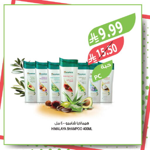 available at المزرعة in مملكة العربية السعودية, السعودية, سعودية - الرياض