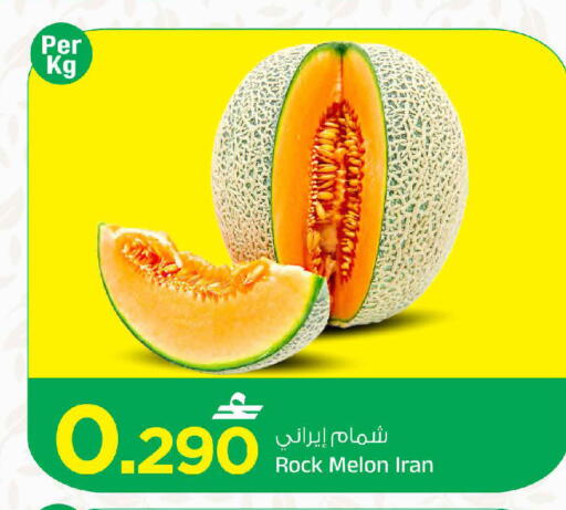 Melon from Iran available at MARK & SAVE in Oman - Muscat