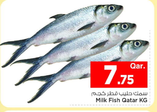 available at Mark & Save  in Qatar - Umm Salal