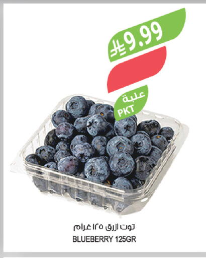 Blueberry BlueBerry available at المزرعة in مملكة العربية السعودية, السعودية, سعودية - الرياض