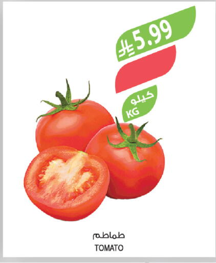 Tomato available at Farm  in KSA, Saudi Arabia, Saudi - Riyadh