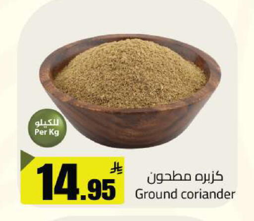 Coriander available at Supermarket Stor in KSA, Saudi Arabia, Saudi - Riyadh