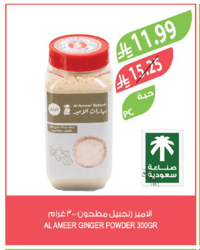Ginger available at Farm  in KSA, Saudi Arabia, Saudi - Tabuk