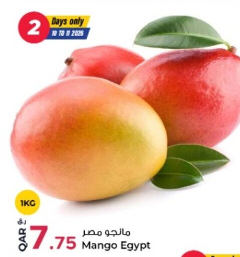 Mango from Egypt available at روابي هايبرماركت in قطر - الضعاين