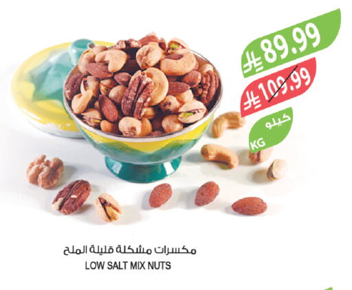 available at المزرعة in مملكة العربية السعودية, السعودية, سعودية - تبوك