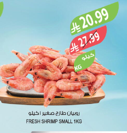 available at المزرعة in مملكة العربية السعودية, السعودية, سعودية - الرياض